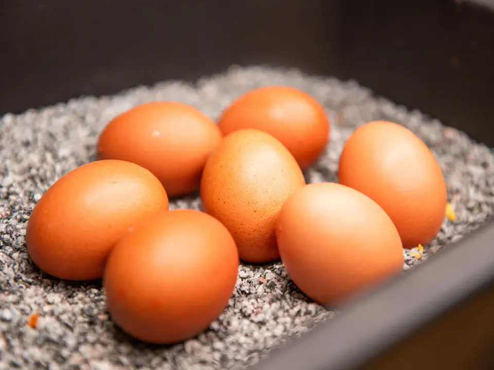 Gekochte Eier am Frühstücksbuffet im Restaurant Vista.