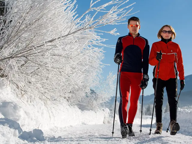 Winterwandern