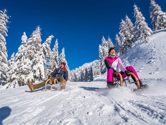 Rodeln auf der Piste in Kärnten (c) Peter Maier - nassfeld.at.