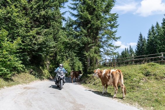 3 Länder Tour mit dem Motorrad (c) Peter Wahl