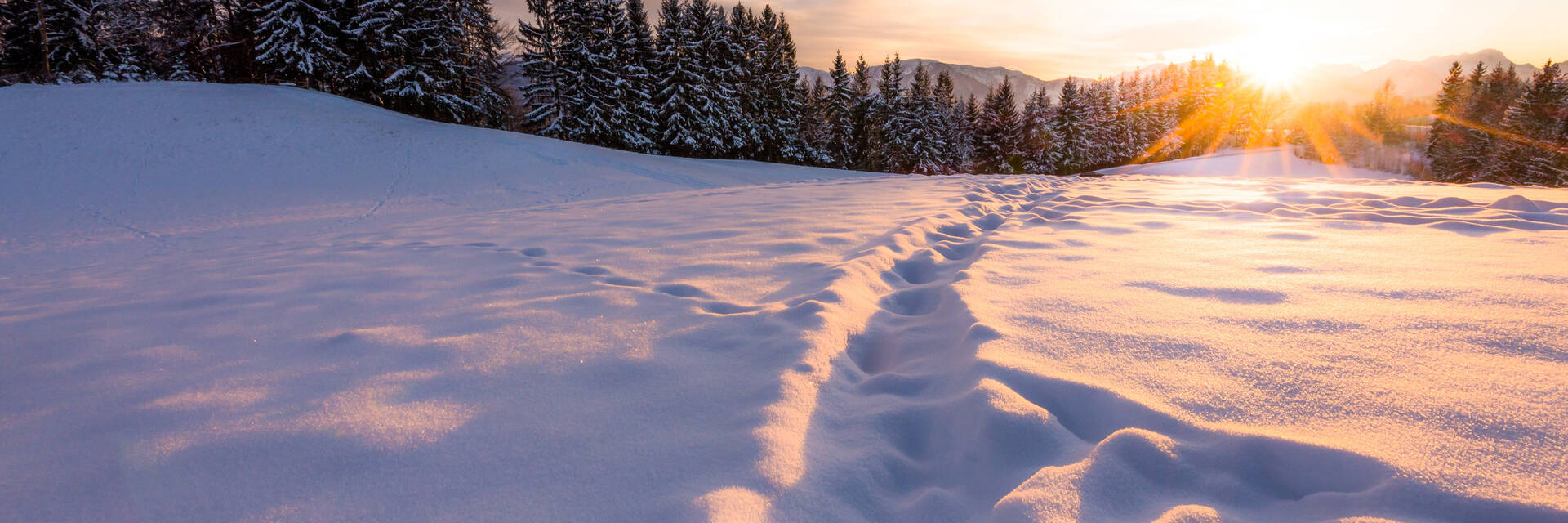 Winterlandschaft am Nassfeld